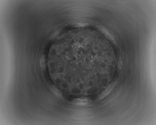 X0000113260366200909101504