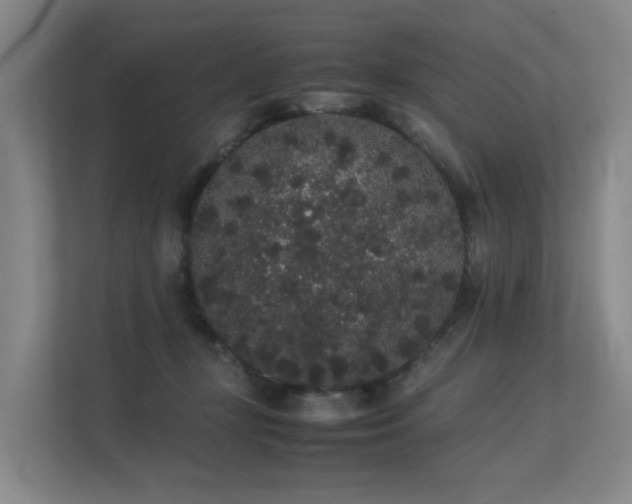 X0000113260367200909101504