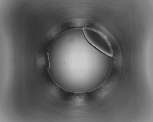 X0000113260368200909101504