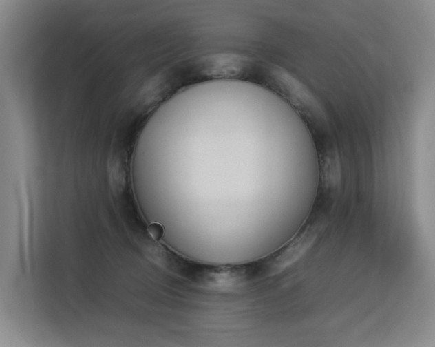 X0000113260370200909101504