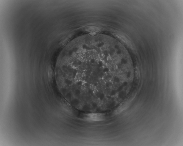 X0000113260371200909101504