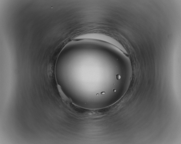 X0000113260372200909101504