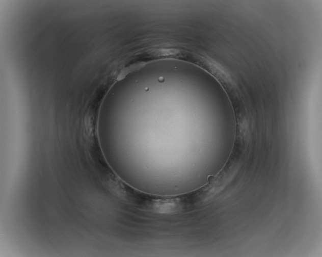 X0000113260373200909101504