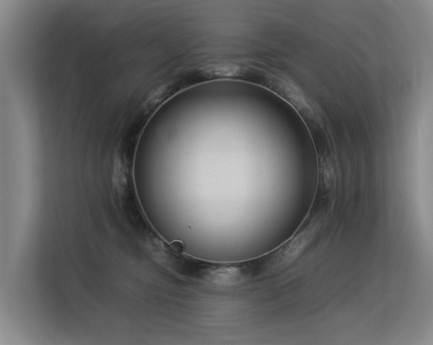 X0000113260374200909101504