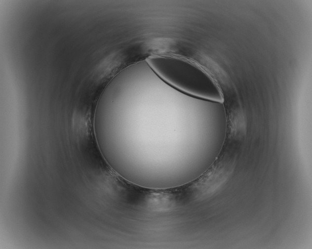 X0000113260376200909101504