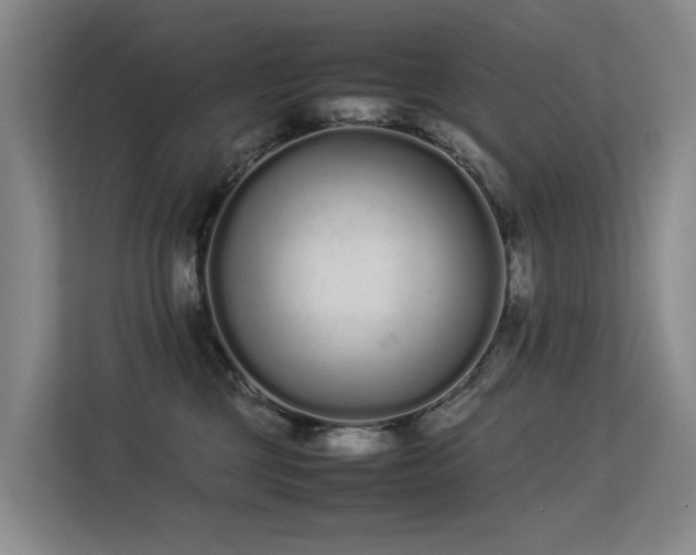 X0000113260377200909101504