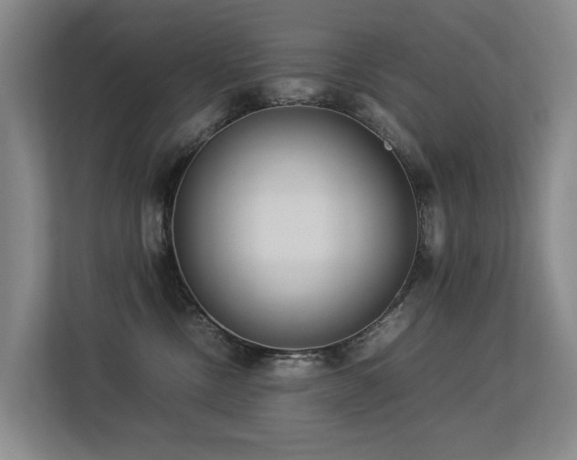 X0000113260378200909101504