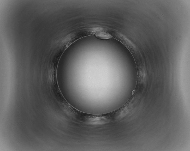 X0000113260379200909101504