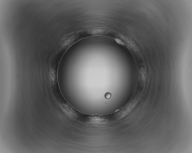 X0000113260380200909101504