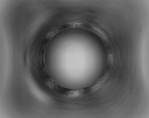 X0000113260381200909101504