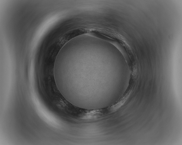 X0000113260382200909101504