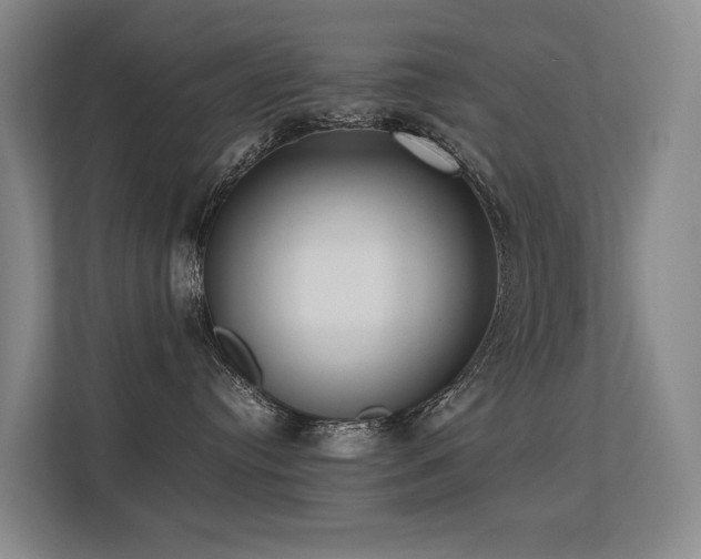 X0000113260384200909101504