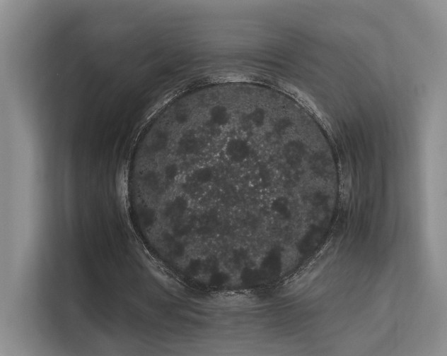 X0000113260386200909101503