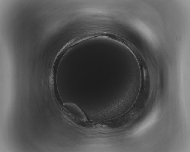 X0000113260387200909101503