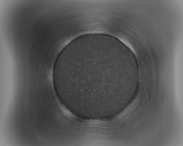 X0000113260389200909101503