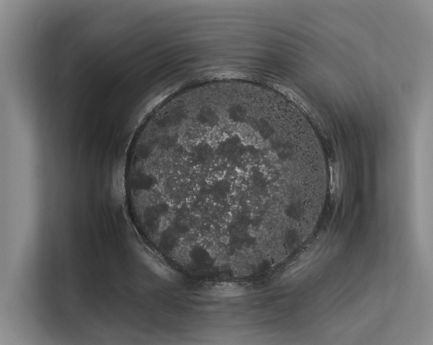 X0000113260390200909101503