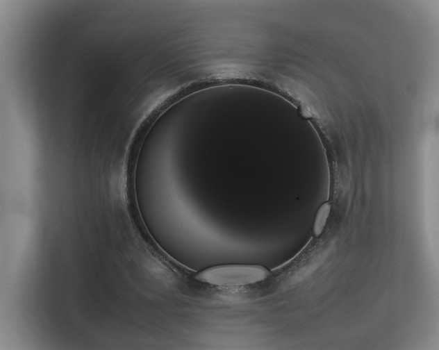 X0000113260391200909101503