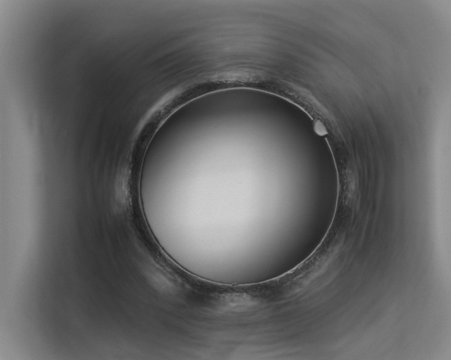 X0000113260392200909101503