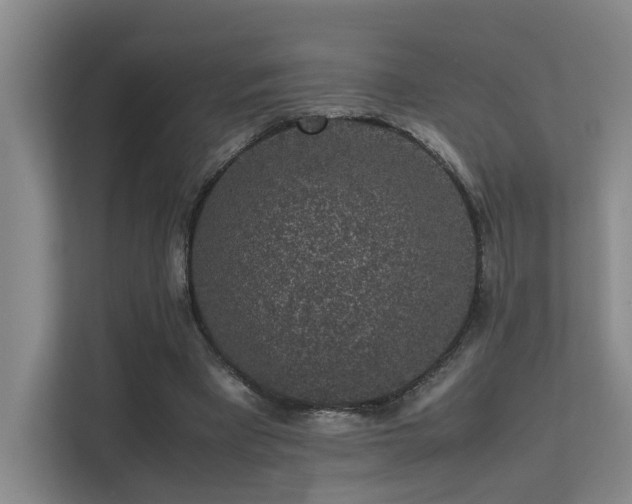 X0000113260393200909101503