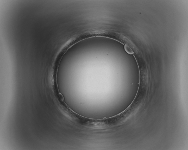 X0000113260395200909101503