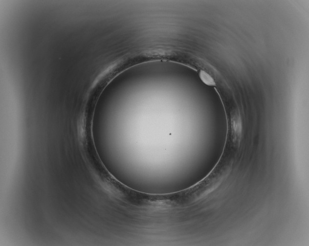 X0000113260396200909101503