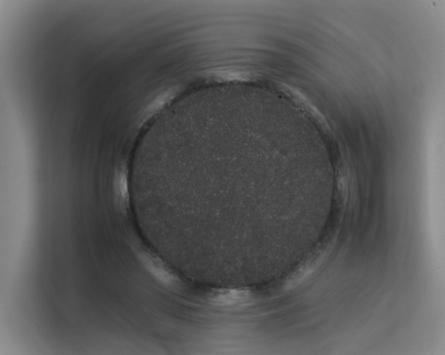 X0000113260398200909101503