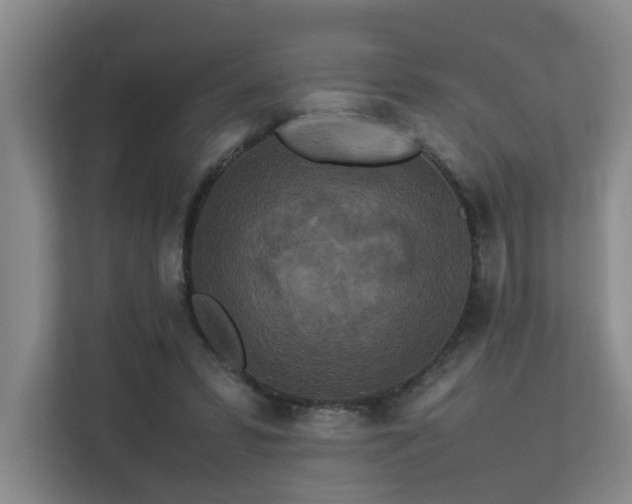 X0000113260399200909101503