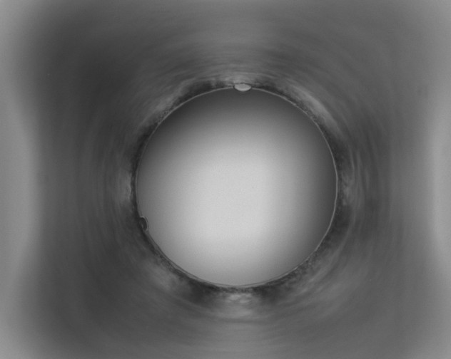 X0000113260401200909101503