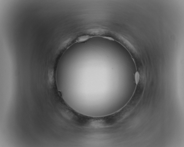 X0000113260403200909101503