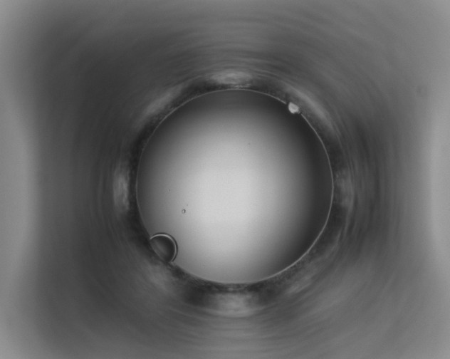 X0000113260404200909101503