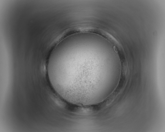 X0000113260405200909101503