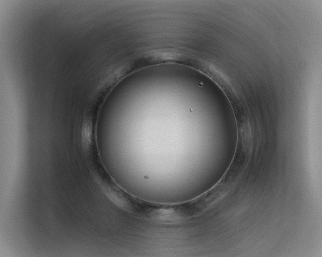 X0000113260406200909101503