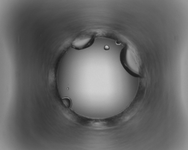 X0000113260407200909101503