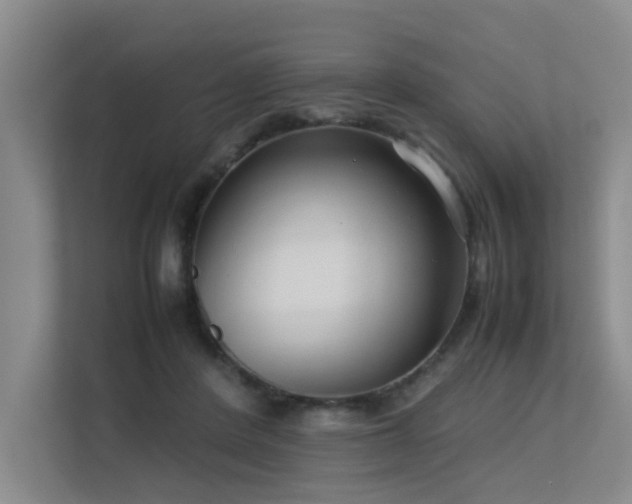 X0000113260408200909101503