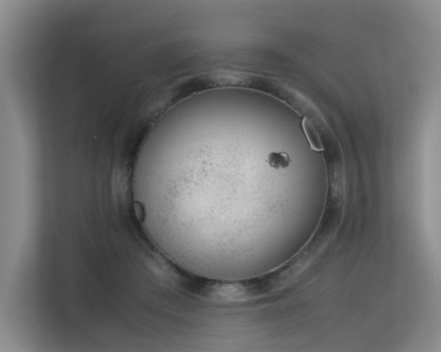 X0000113260409200909101503