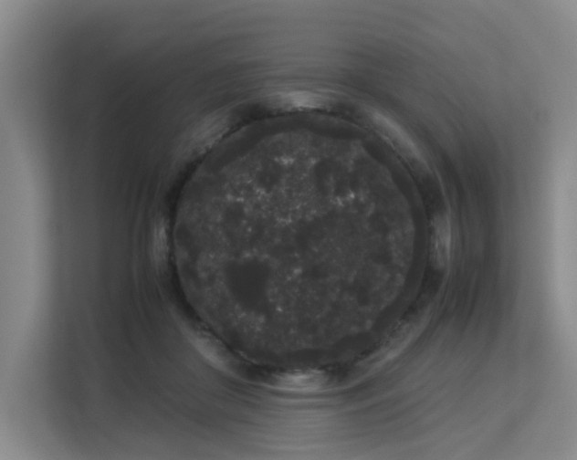 X0000113260410200909101503