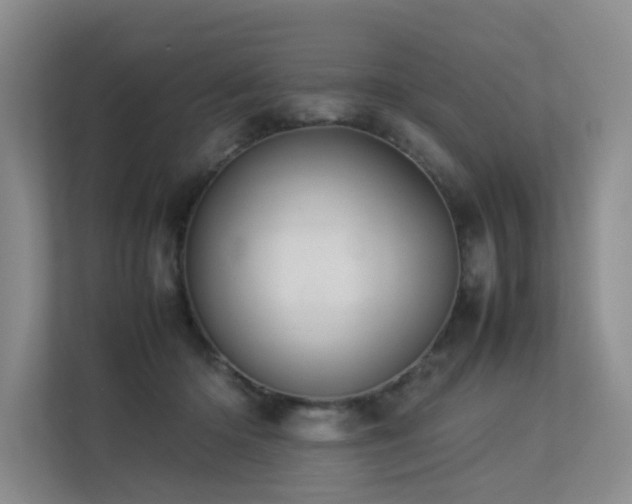 X0000113260414200909101503