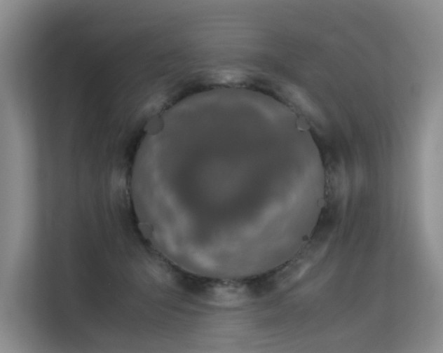 X0000113260415200909101503