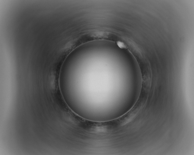 X0000113260416200909101503