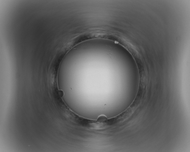 X0000113260417200909101503