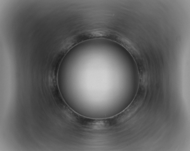 X0000113260418200909101503