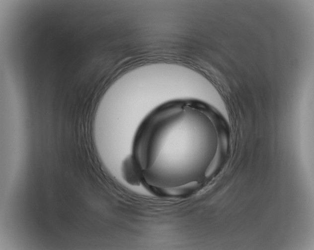 X0000113260421200909101503