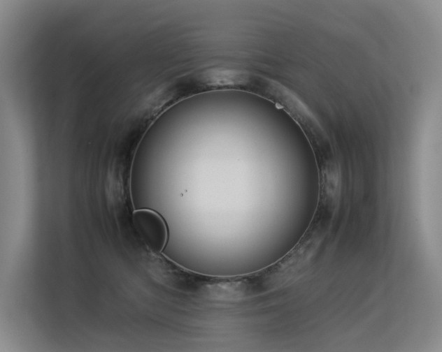 X0000113260422200909101503