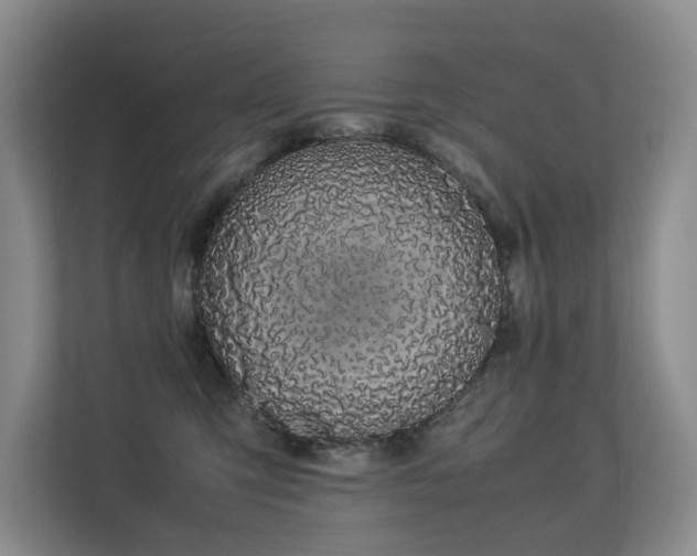 X0000113260423200909101503