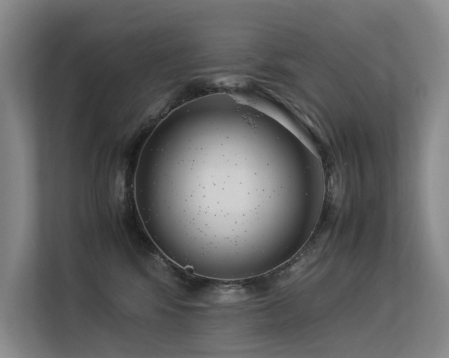 X0000113260424200909101503