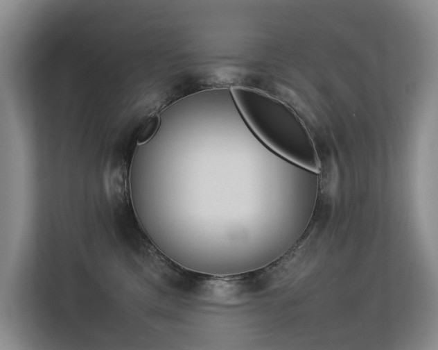 X0000113260425200909101503