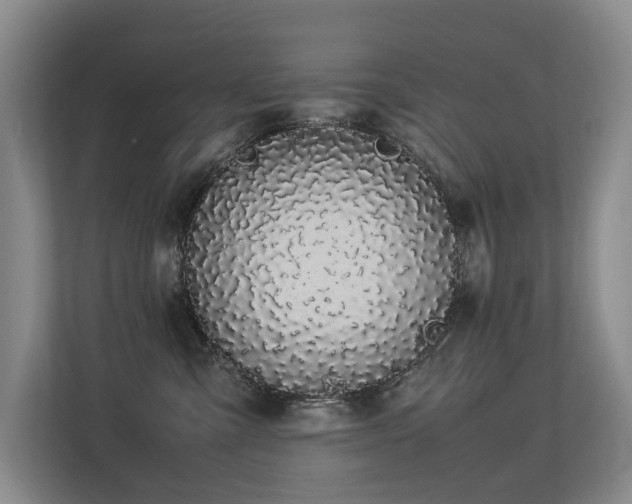 X0000113260427200909101503