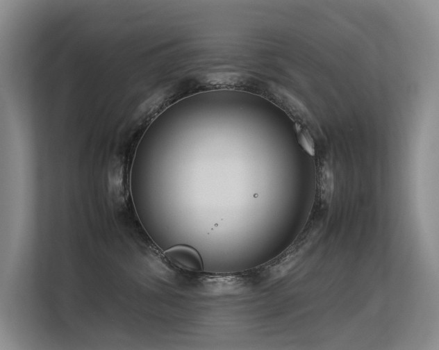 X0000113260428200909101503