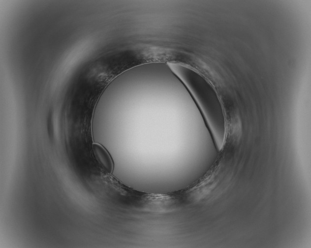 X0000113260429200909101503