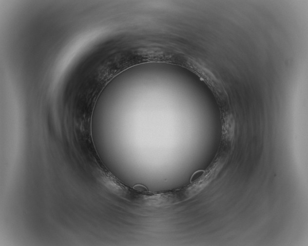 X0000113260430200909101503